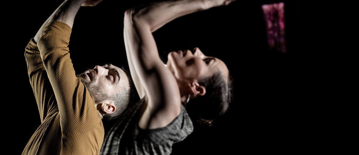 Conny Janssen Danst