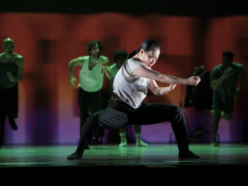 Conny Janssen Danst – Instinct